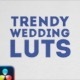 Trendy Wedding LUTs | DaVinci Resolve - VideoHive Item for Sale