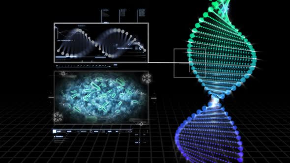 Genetic code diagram       