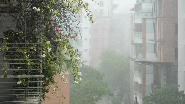 Old Residential Buildings at Rainy Day in Dhaka City in Bangladesh