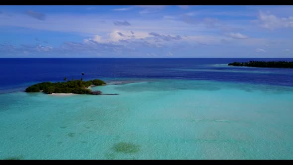 Aerial flying over texture of tranquil island beach wildlife by transparent lagoon and white sand ba