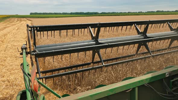 Combine Harvester Working on the Wheat Field, Close-up