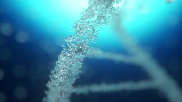 Abstract Animated Construction of a DNA Molecule From Water Particles