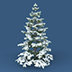 Snowy Fir Tree - 3DOcean Item for Sale