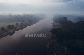 Jungle and Amazon river at sunrise.