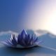 Zen Awakening Spiritual Meditation