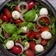 Salad with Traditional Italian Mozzarella Cheese with Arugula and Tomatoes on Dark Concrete Table - VideoHive Item for Sale