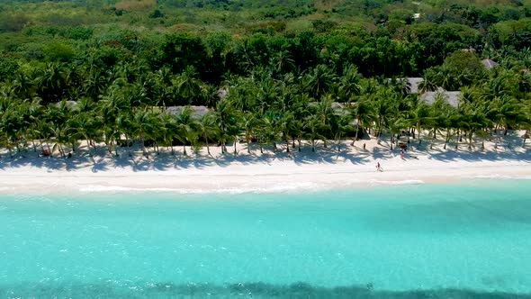 aerial pan along beautiful palm tree lined beach with turquoise blue sea and White sand, Panglao isl