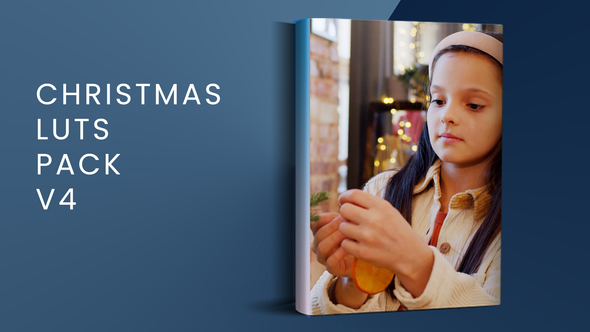 Christmas LUTs Pack V4  | FCPX alt