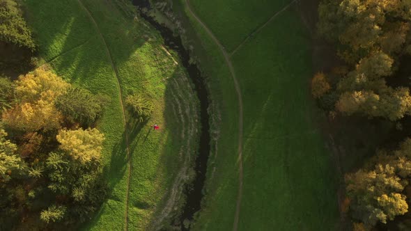 Autumn Forest Aerial View From Drone