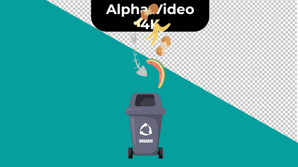 Garbage Sorting set - 4K Alpah Video