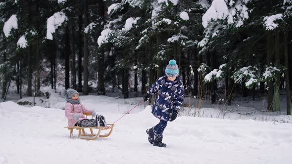 Video of brother pulling sledge with little sister in snow. Shot with RED helium camera in 8K.