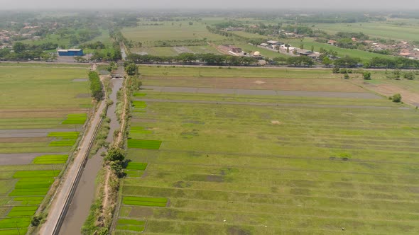 Rice Field and Agricultural Land in Indonesia