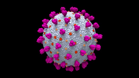 Coronavirus Covid 19 Cell V19
