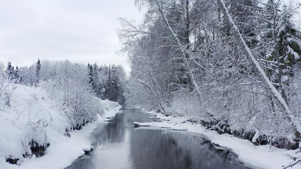 The Frozen Lake in the Forest in Estonia