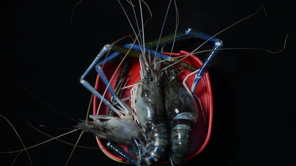 Uncooked Beef Slices With Sesame Seeds And Fresh Big Prawns In Plastic Containers - Closeup Shot