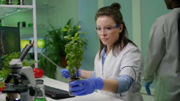 Botanist Researcher Measure Sapling for Botany Experiment