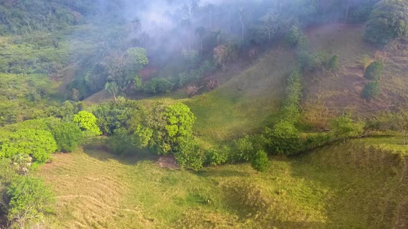 Aerial view smoking wildfire, in the tropical Jungles of Africa - tilt up, drone shot