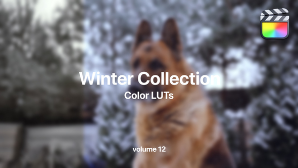 Winter LUTs Collection Vol. 12 alt