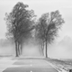 Cold Winter Wind 3