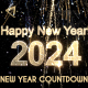 New Year Countdown 2024 V1 - VideoHive Item for Sale