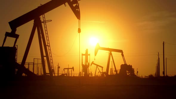 Large Oil Field At Sunrise