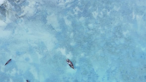 Tanzania Vertical Video  Boat Boats in the Ocean Near the Coast of Zanzibar Aerial View