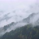 Mystic cloudy and foggy autumn alpine mountain slopes scene. Austrian Lienzer Dolomiten Alps - VideoHive Item for Sale