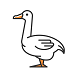 Goose