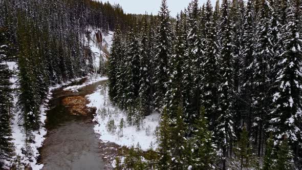 Waterfall and creek in pine forest following reveal snowing