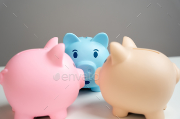 Piggy bank pigs gossip. News and events in the economy