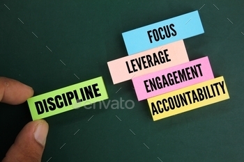  Focus, leverage, engagement and accountability