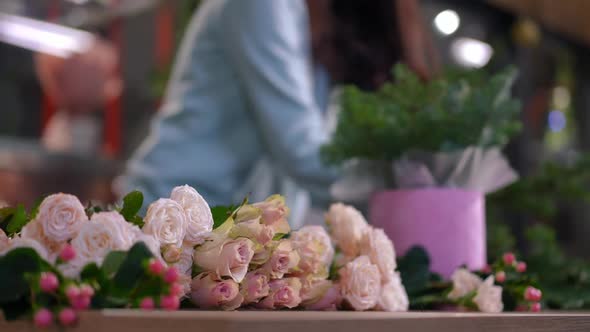 Beautiful Pink Roses Lying in Flower Shop with Blurred Florist Composing Bouquet at Background