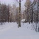 Winter Forest - VideoHive Item for Sale