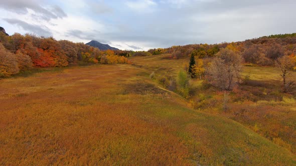 Flying across a meadow to reveal a scenic view of a mountainside with autumn colors on a beautiful d