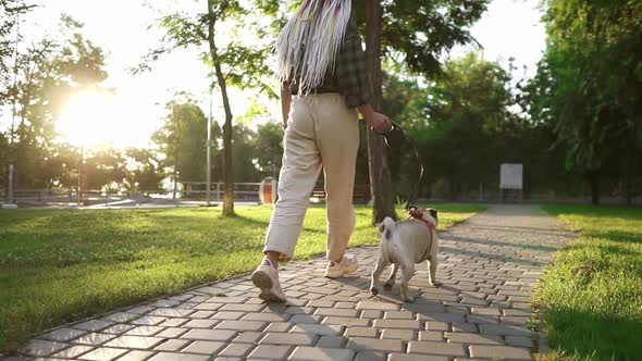 Rare View of a Pug Walks in the Park with Female Owner Leading the Leash