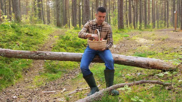 Man with Basket Picking Mushrooms in Forest