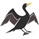 Cormorant
