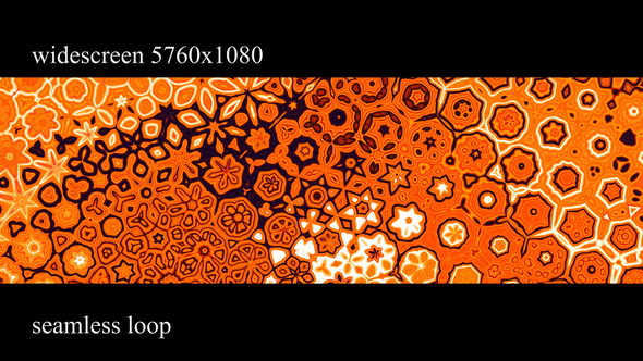 Floral Ornament Wide-screen alt