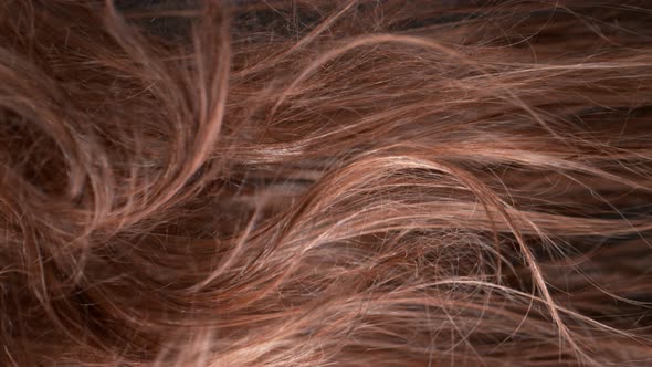 Super Slow Motion Shot of Waving Disheveled Brown Hair at 1000 Fps