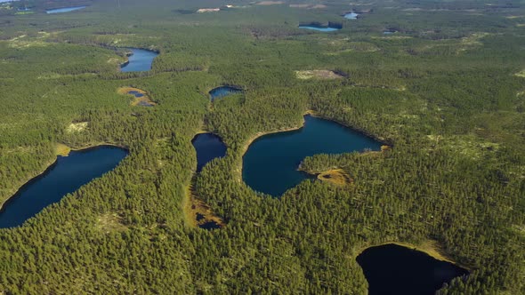 Lake and Forest in Finland