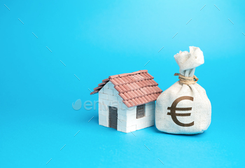 House and euro money bag. Property value appraisal.