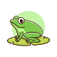 Tree Frog