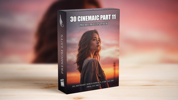 FilmMaker's Dream LUTs Pack - Ultimate Grading Presets for Videos