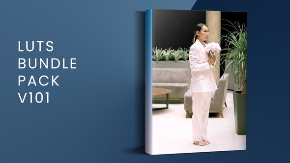 LUTs Bundle Pack V101  | FCPX alt
