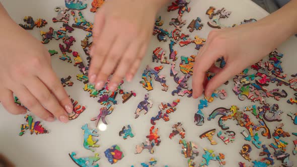 Two Pairs of Female Hands and Bizarrely Shaped Puzzles are Laid Out on the Table