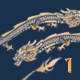 Chinese Dragon 1 - VideoHive Item for Sale
