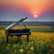 Soft Piano at Dawn