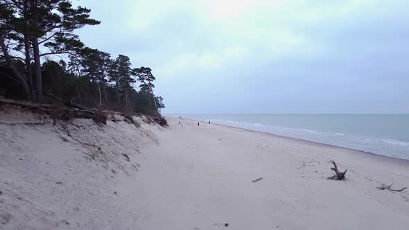 Aerial view of Baltic sea coastline at Bernati beach in Latvia, coastal pines and the white sand bea