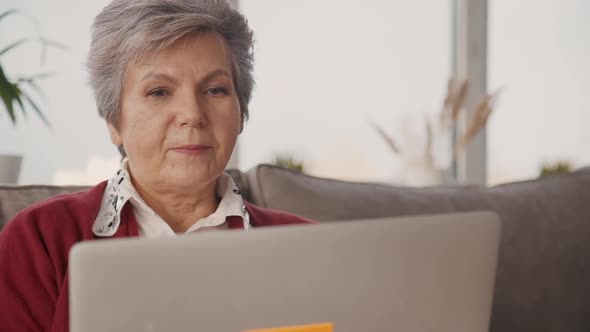 Glad Senior Woman Looking at Modern Laptop