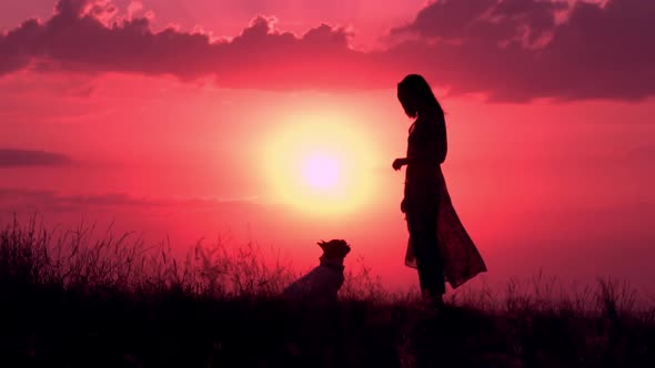 Silhouette Woman Play with French Bulldog